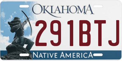 OK license plate 291BTJ