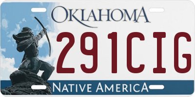 OK license plate 291CIG