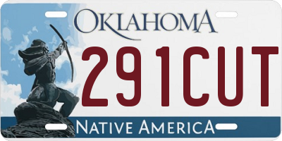OK license plate 291CUT