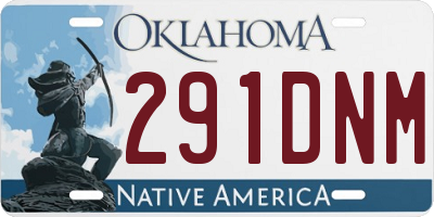 OK license plate 291DNM