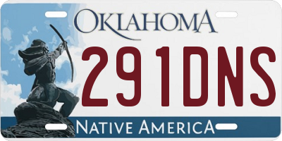 OK license plate 291DNS