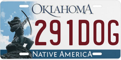 OK license plate 291DOG