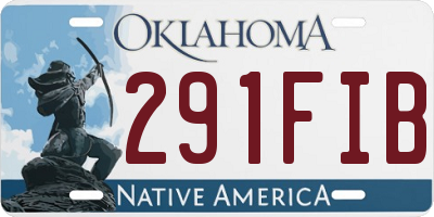 OK license plate 291FIB