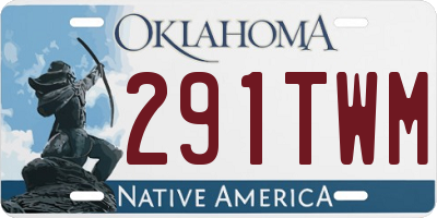 OK license plate 291TWM
