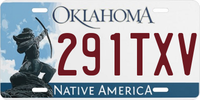 OK license plate 291TXV