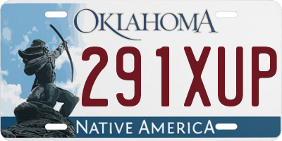 OK license plate 291XUP