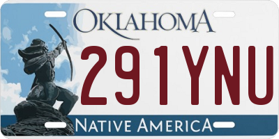 OK license plate 291YNU