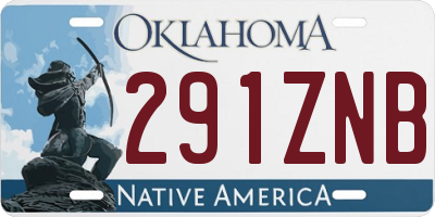 OK license plate 291ZNB