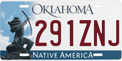 OK license plate 291ZNJ