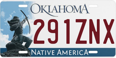 OK license plate 291ZNX
