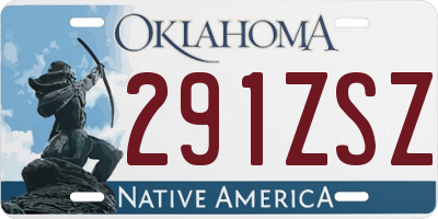 OK license plate 291ZSZ