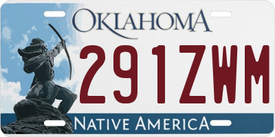 OK license plate 291ZWM