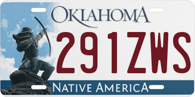 OK license plate 291ZWS