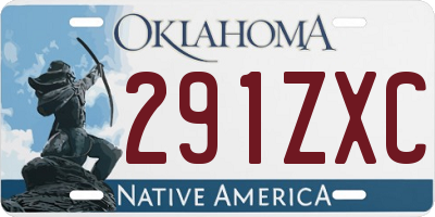 OK license plate 291ZXC