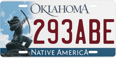 OK license plate 293ABE