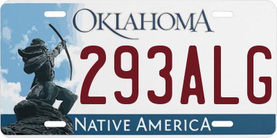 OK license plate 293ALG