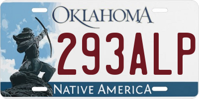OK license plate 293ALP