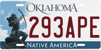 OK license plate 293APE