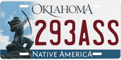 OK license plate 293ASS