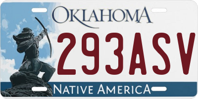 OK license plate 293ASV