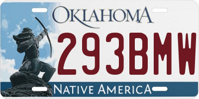 OK license plate 293BMW