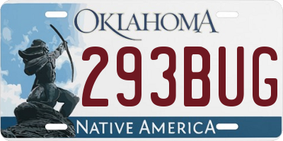 OK license plate 293BUG