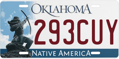 OK license plate 293CUY