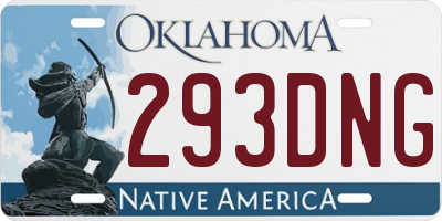 OK license plate 293DNG