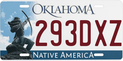 OK license plate 293DXZ