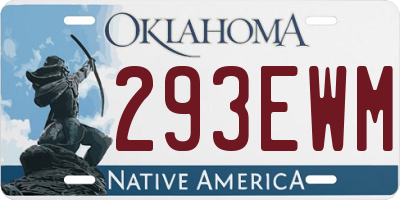 OK license plate 293EWM