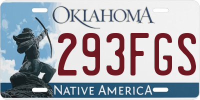 OK license plate 293FGS