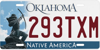 OK license plate 293TXM