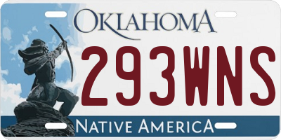 OK license plate 293WNS