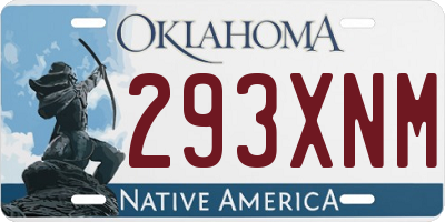 OK license plate 293XNM