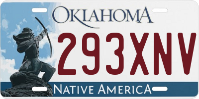 OK license plate 293XNV