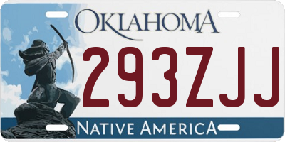 OK license plate 293ZJJ