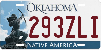 OK license plate 293ZLI