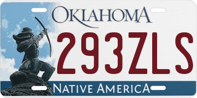 OK license plate 293ZLS