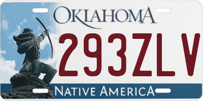 OK license plate 293ZLV