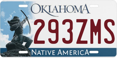OK license plate 293ZMS