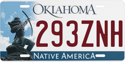 OK license plate 293ZNH