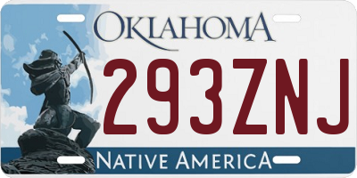 OK license plate 293ZNJ