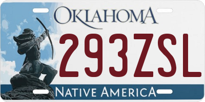 OK license plate 293ZSL