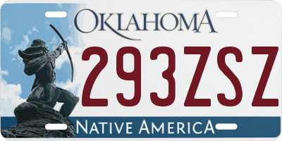 OK license plate 293ZSZ