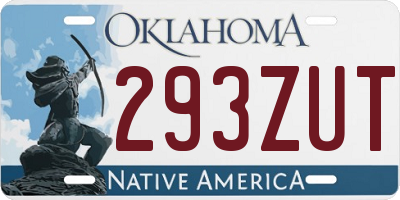 OK license plate 293ZUT