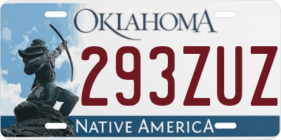 OK license plate 293ZUZ