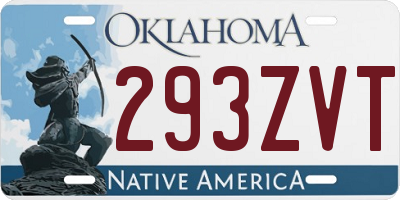OK license plate 293ZVT