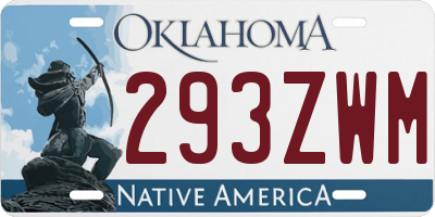OK license plate 293ZWM