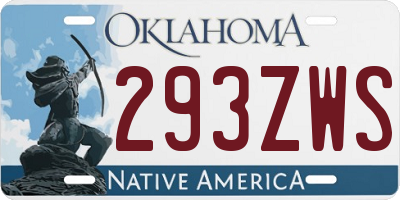 OK license plate 293ZWS