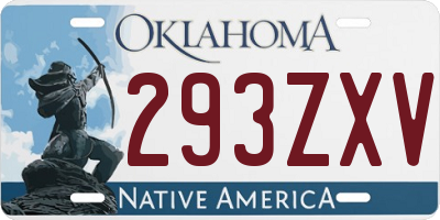OK license plate 293ZXV